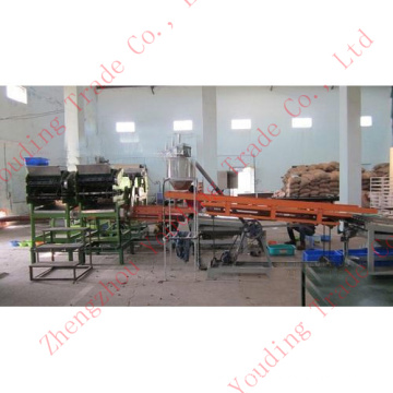 high quality automatic and semi automatic cashew shelling machine
